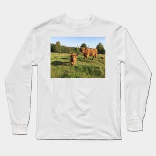 Scottish Highland Cattle Cow and Calf 1552 Long Sleeve T-Shirt